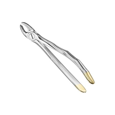 Extracting forceps, anat.
